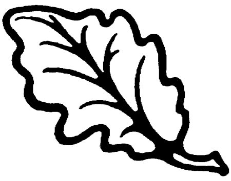 Дубовый лист раскраска