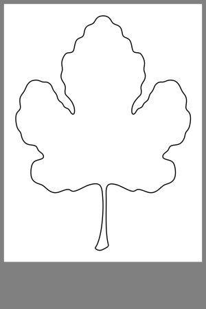 Силуэты листьев для вырезания для детей