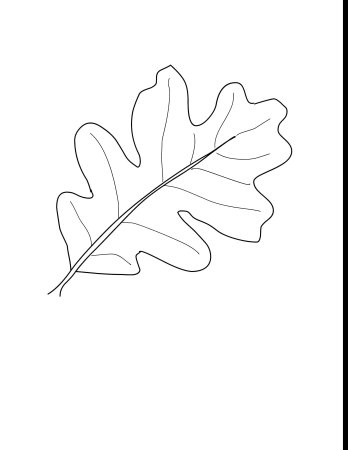 Дубовый лист трафарет