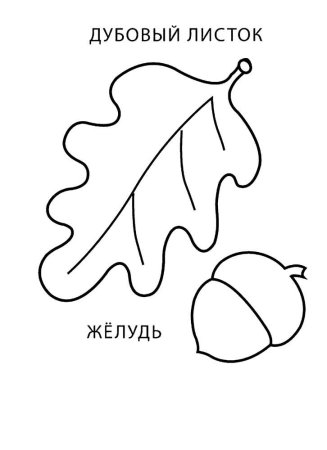 Листья дуба раскраска для малышей