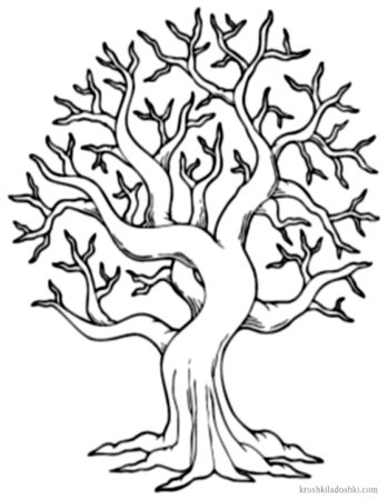Раскраска дерево без листвы для детей