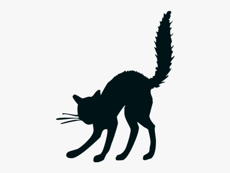 Хвост кота силуэт