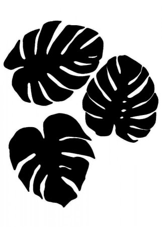 Тропические листья силуэт