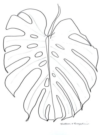 Монстера трафарет