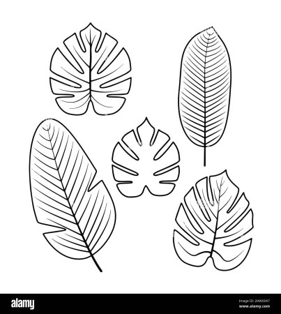 Тропические листья трафарет