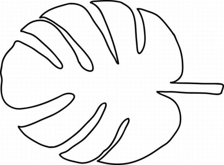 Ветка пальмы