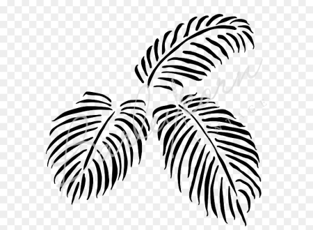 Монстера Вьюнок