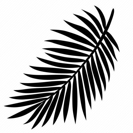 Лист пальмы