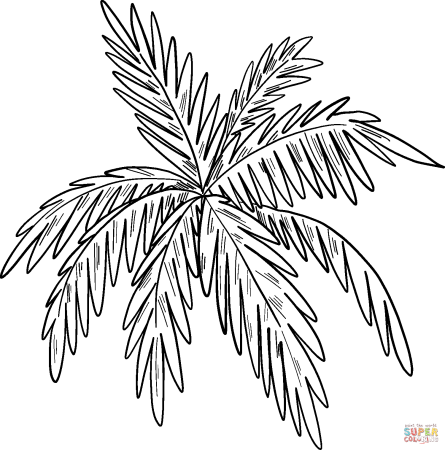 Тропические листья СВГ