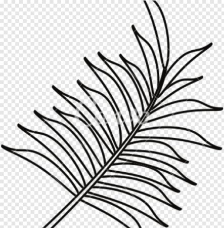 Лист пальмы