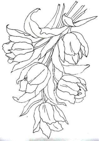 Трафареты для витражной росписи по стеклу