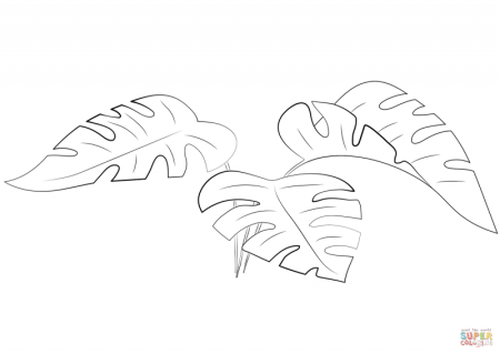 Monstera Leaf шаблон