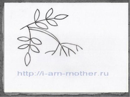 Рябина раскраска для малышей