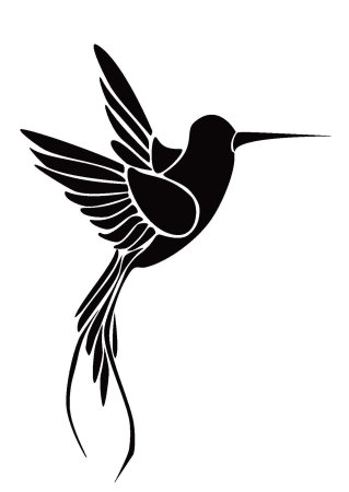 Красивые силуэты птиц