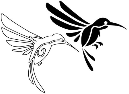 Колибри рисунок