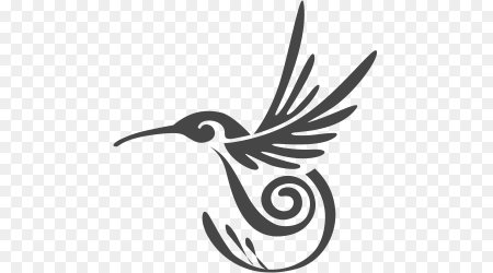 Векторные изображения птиц