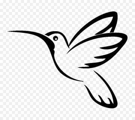 Колибри контур