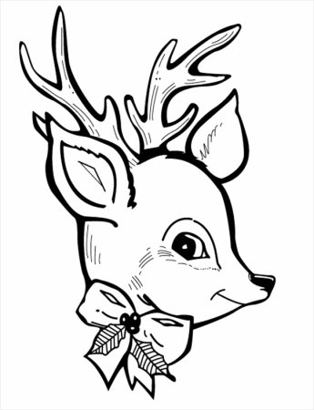 Лицо оленя раскраска