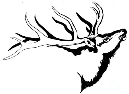Трафарет для выжигания олень