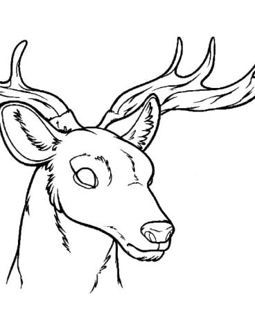 Картинки оленя для срисовки
