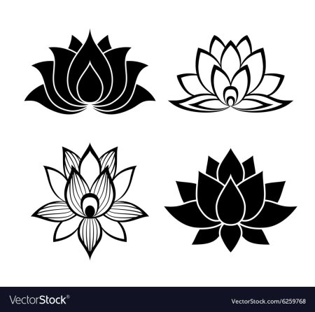 Стилизация цветов Лотос