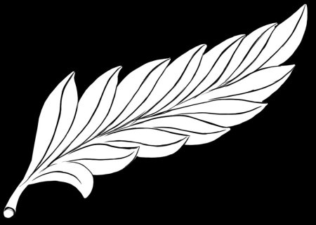 Лавровая ветвь черно белая