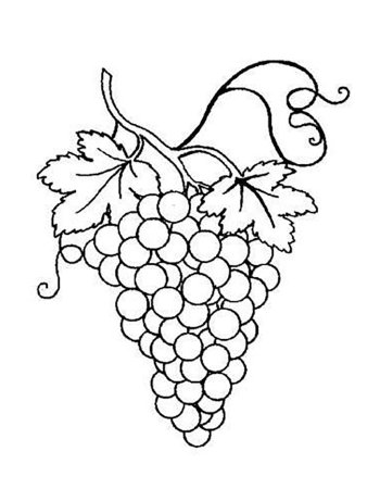 Виноград раскраска