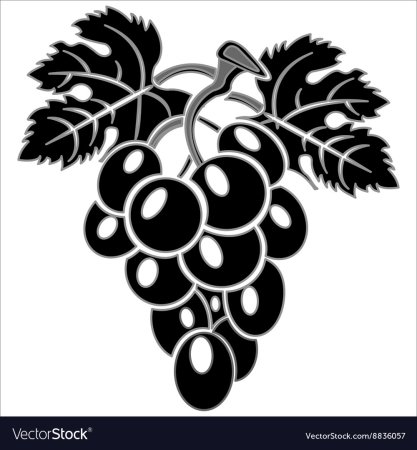 Орнамент гроздья винограда