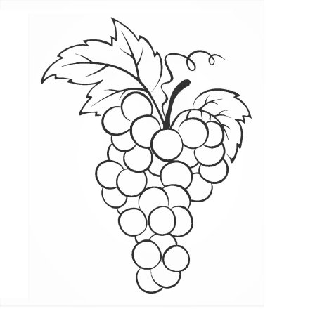 Трафарет для росписи виноград