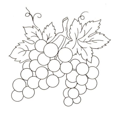 Виноградная лоза шаблон