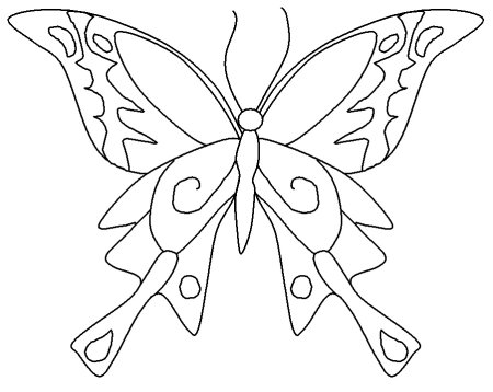 Раскраска "бабочки"