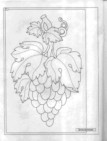 Жар птица раскраска для детей