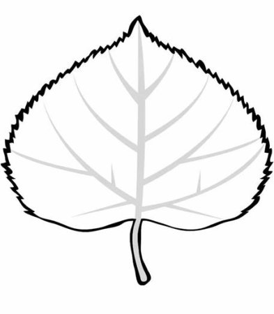 Лист липы раскраска
