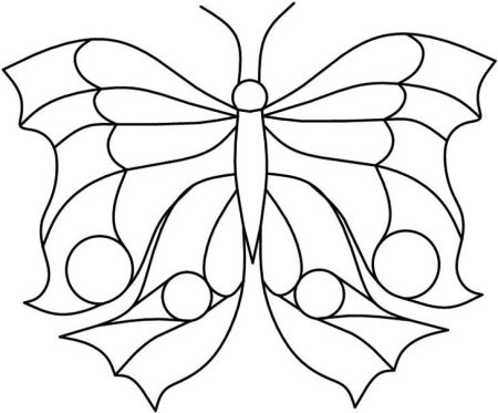 Витраж бабочка трафарет