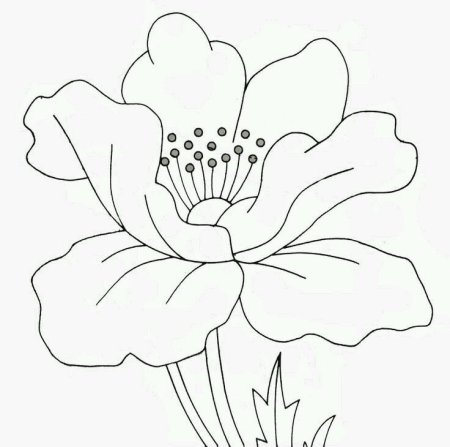 Мак трафарет