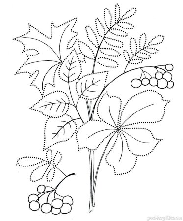 Осенние раскраски для малышей