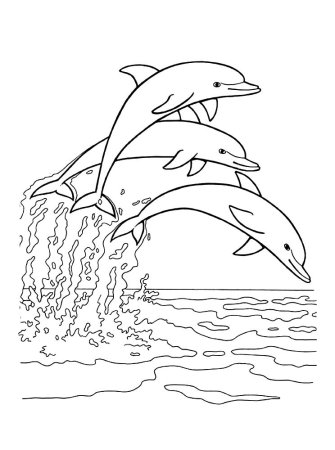 Раскраска вода