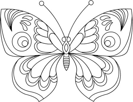 Раскраска "бабочки"