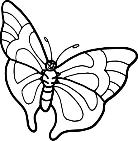 Раскраска "бабочки"