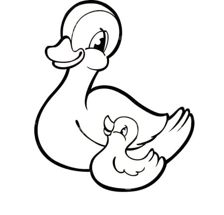 Раскраски для детей 2-3 лет