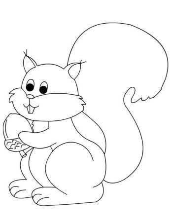 Картинка Белочка раскраска