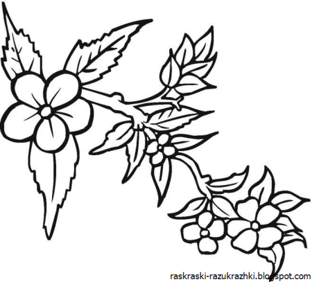 Ветка с цветами трафарет