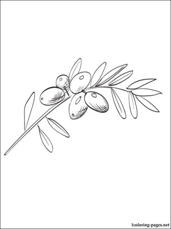 Ветка карандашом