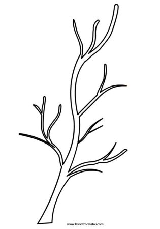 Ветка дерева раскраска для детей