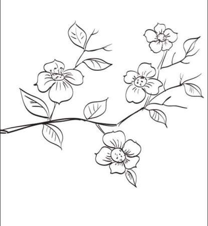 Цветы на ветке раскраска