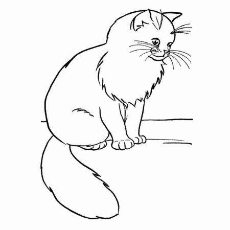 Кошка для раскрашивания