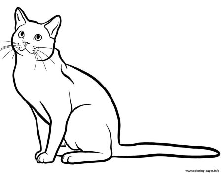 Раскраска. Котики