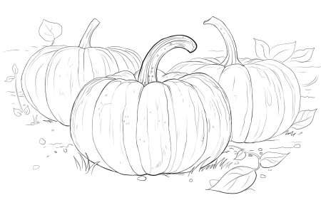 Раскраска тыква для детей 5-6 лет