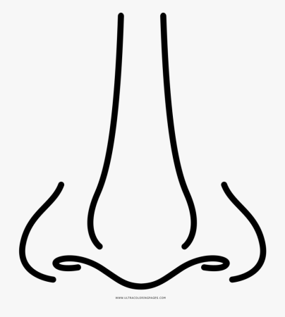 Нос раскраска