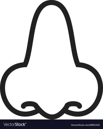 Нос раскраска для детей